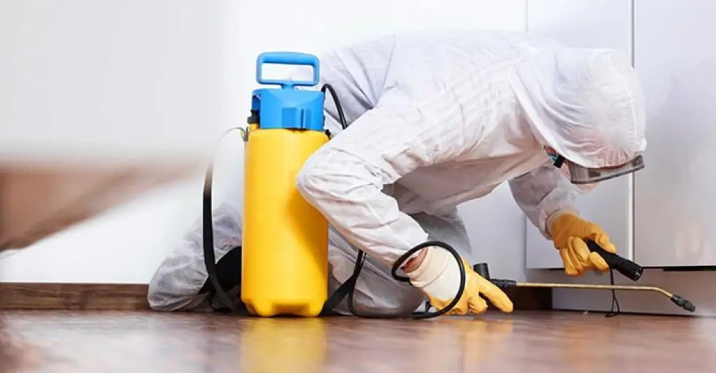 End of Lease Pest Control